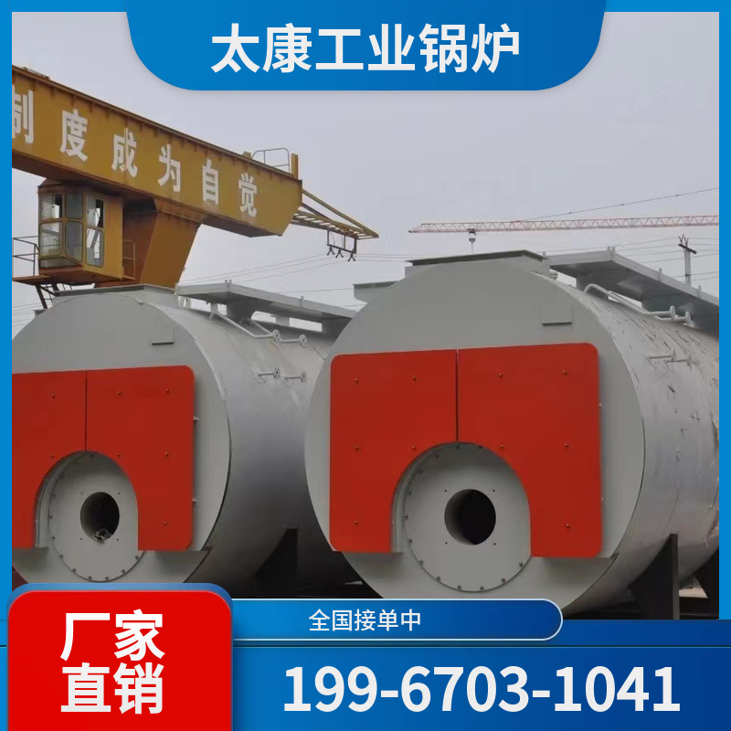 中卫低氮锅炉