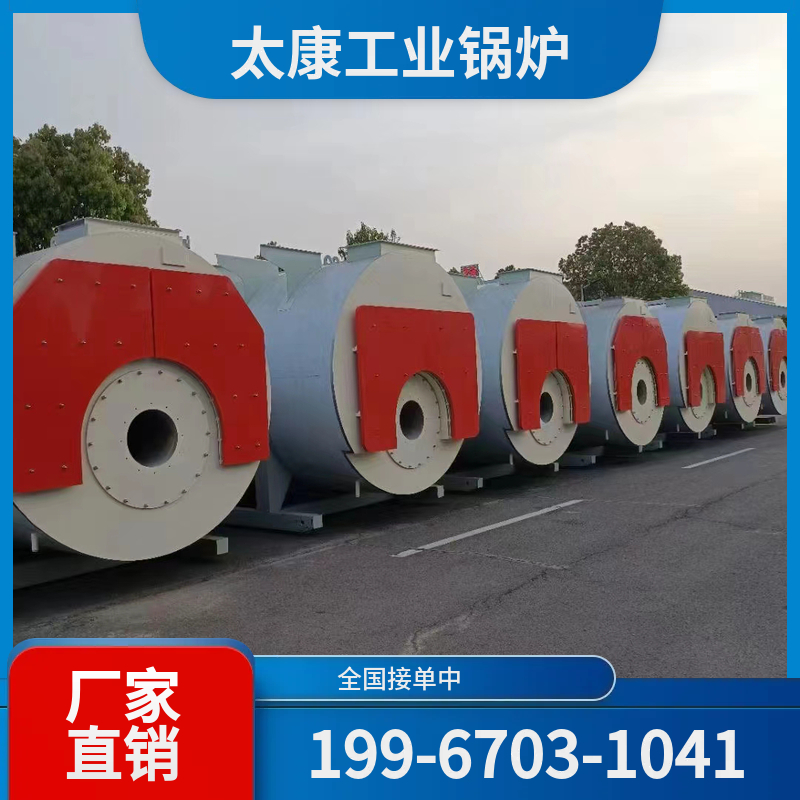 中卫沼气锅炉